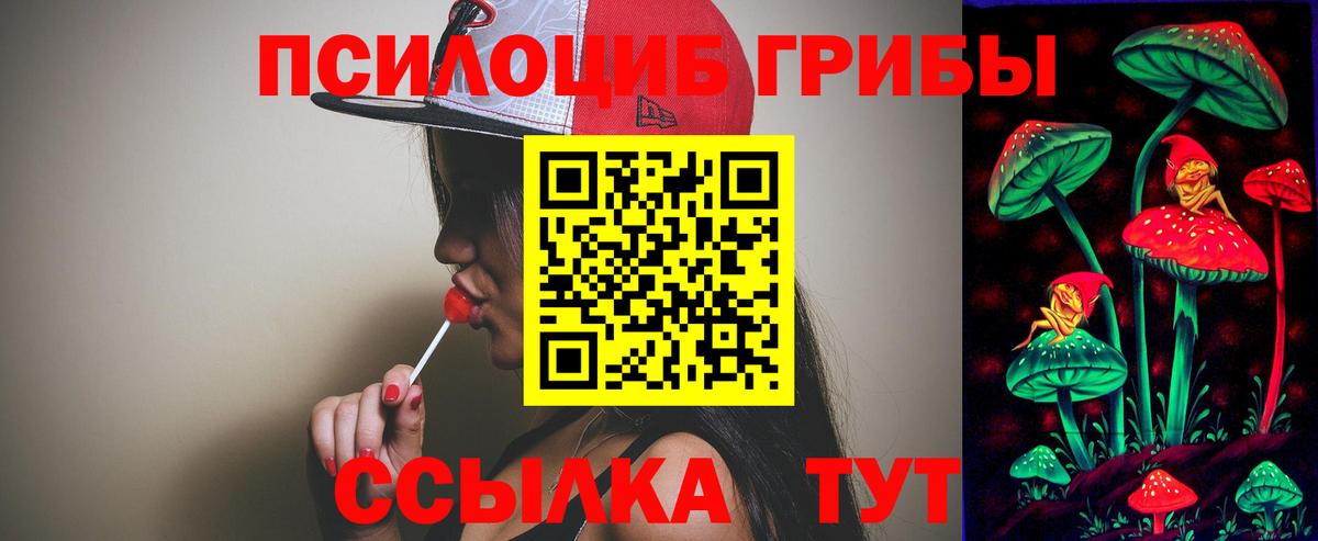 Галлюциногенные грибы мицелий Коломна